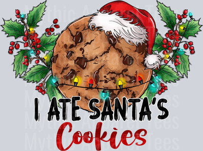 I ate santa's cookies DTF Christmas Transfers