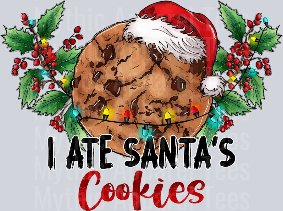 I ate santa's cookies DTF Christmas Transfers