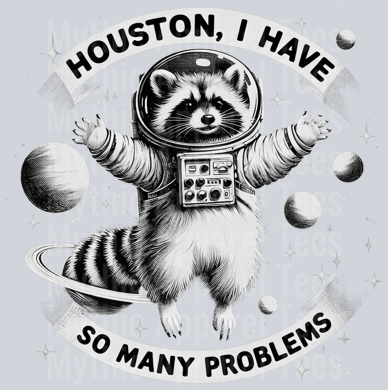 Houston I have so many problems space racoon 2 DTF Racoon Transfers