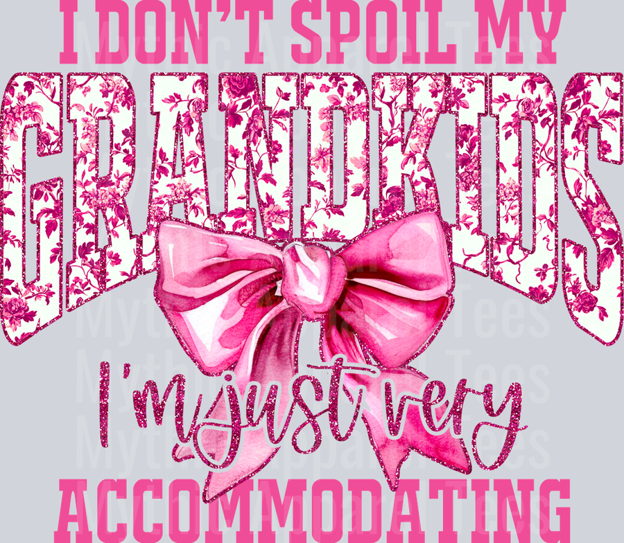 I Dont Spoil My Grandkids Pink