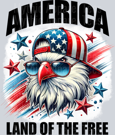 America Land of the Free eagle with American Flag Hat DTF Patriotic Transfers