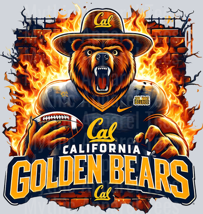 College Football Team Transfers