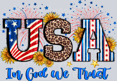 USA In God We Trust Patriotic 4th of July Religious
