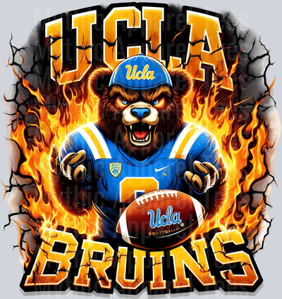 College Football Team Transfers