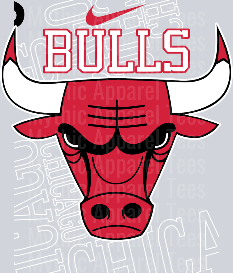 Chicago Bulls Michael Jordan Chicago Bulls Jordans Nike DTF Michael Jordan Transfers