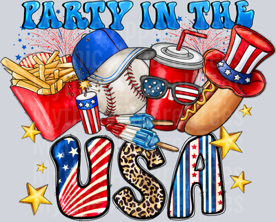 Party In The USA Baseball 2  4th of july DTF Patriotic Transfers