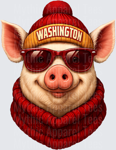 NFL Mascots Washington Commanders Pig Beanie Sunglasses Scarf