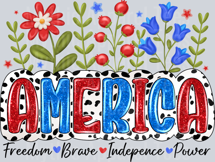 America Freedom Brave indepence Power