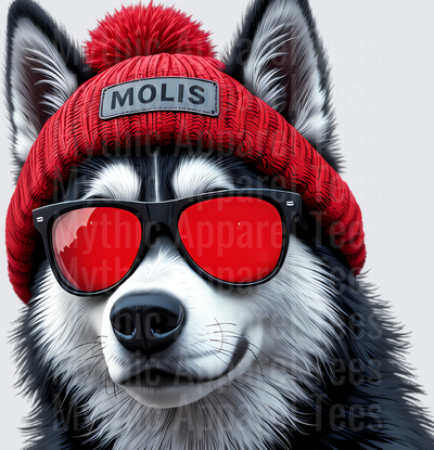 NFL Mascots Husky Dog Red Beanie Sunglasses MOLIS Patch