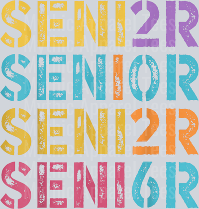 Senior 2026 Graduation Colorful Vintage T-Shirt