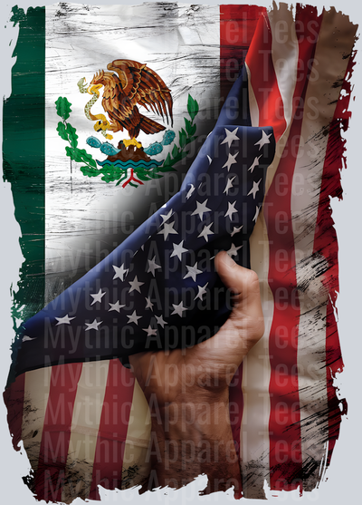 DG-TP-04022504-VH_pgn.final