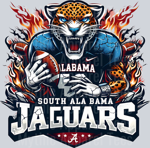 College Football Team Transfers