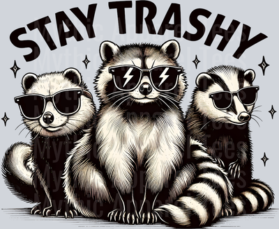 Stay Trashy Racoon gang DTF Racoon Transfers