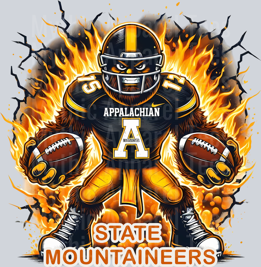 College Football Team Transfers