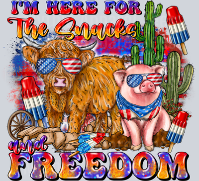 Im Here For The Snacks And Freedom 4th of july DTF Patriotic Transfers