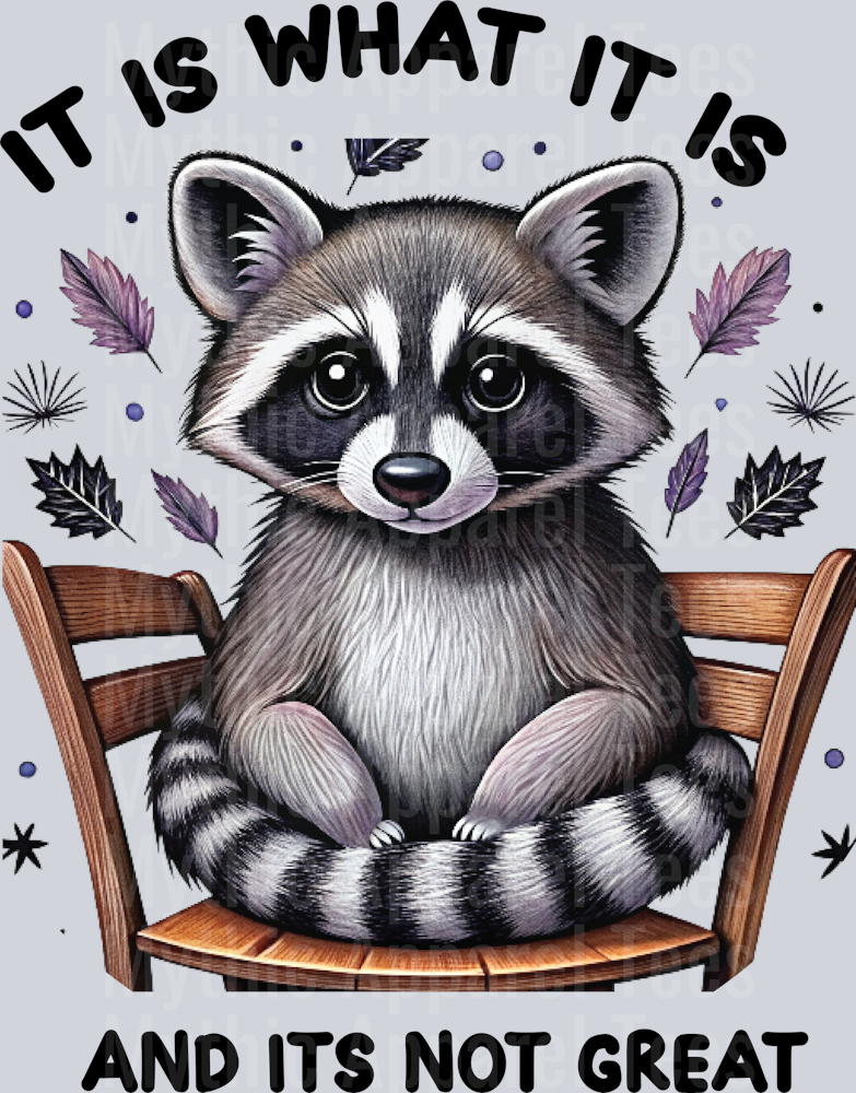 It is what it is and it's not great DTF Raccoon Transfers