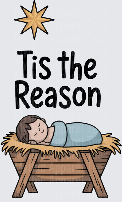 Tis The Reason Baby Jesus in Manger with Bethlehem Star Christmas Christian Faith