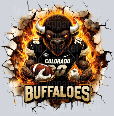 College Football Team Transfers
