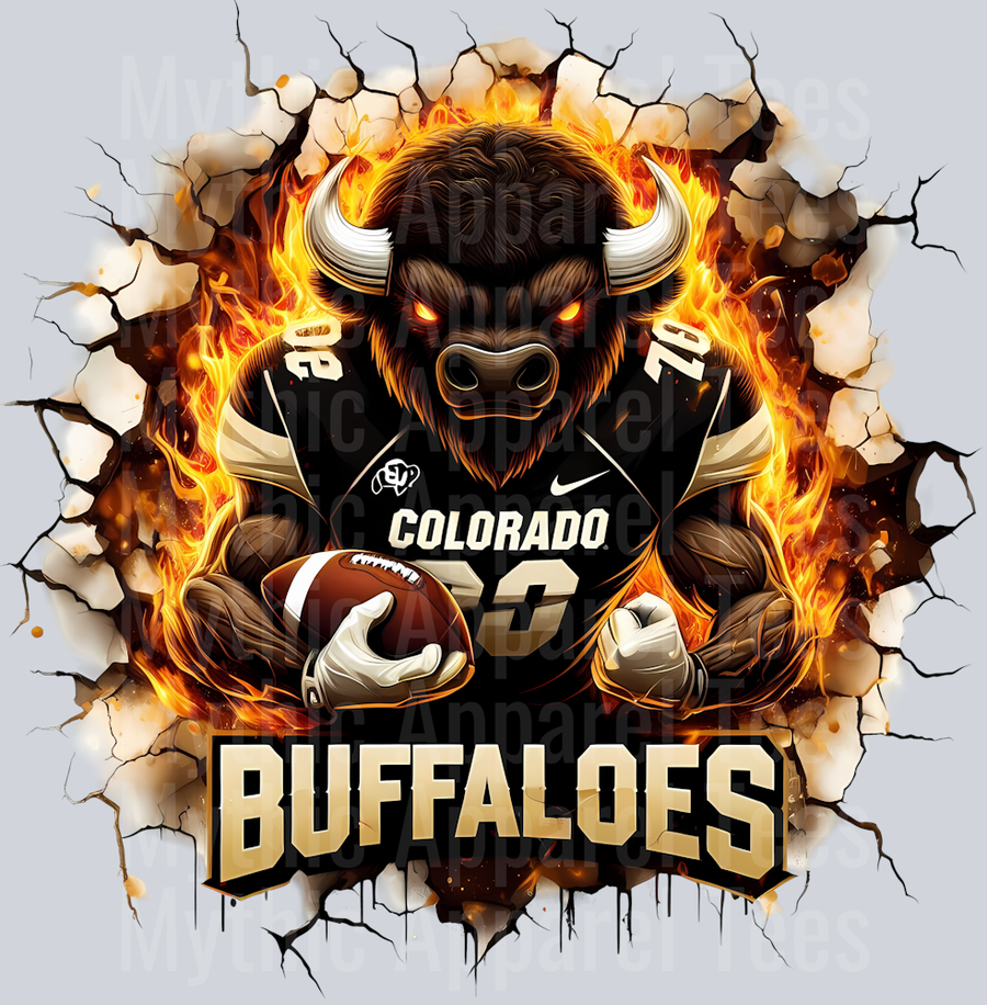 College Football Team Transfers