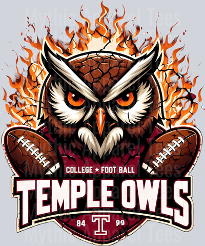College Football Team Transfers
