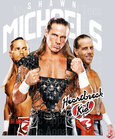 HBK WWE Superstars DTF WWE Transfers