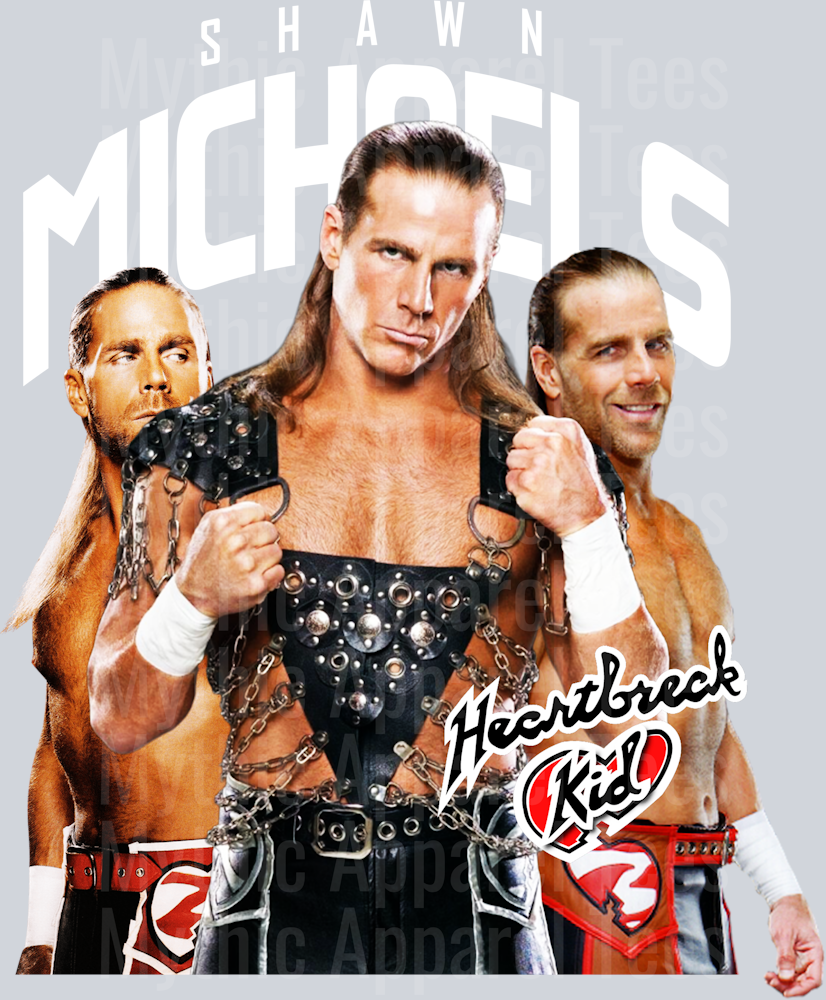 HBK WWE Superstars DTF WWE Transfers