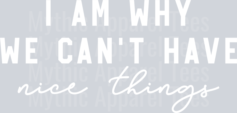We Cant Have Nice Things White DTF Unisex Toddler Transfers