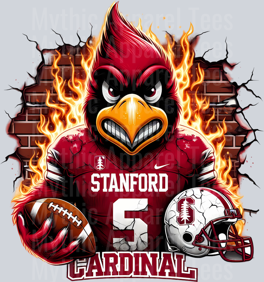 College Football Team Transfers