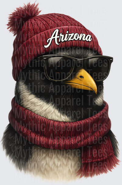NFL Mascots Arizona Cardinals Bird Red Beanie Sunglasses Scarf