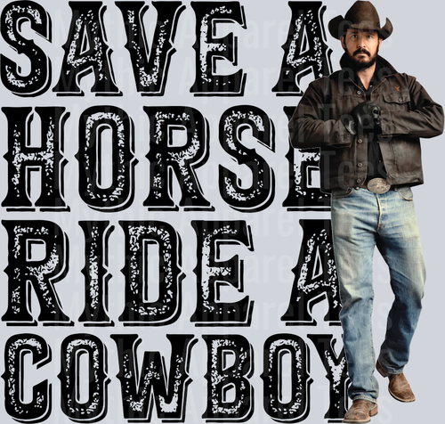 Save A horse Ride A Cowboy Big and Rich Country Music Western