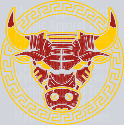 Chicago Bulls Aztek Michael Jordan Chicago Bulls Jordans Nike DTF Michael Jordan Transfers