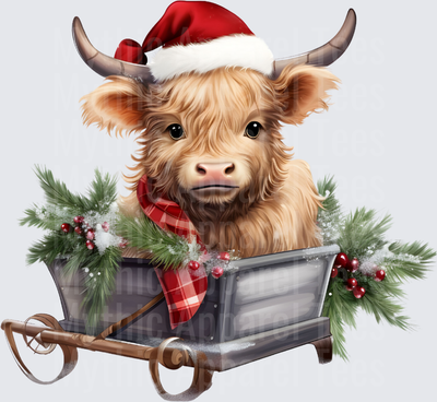 Highland Christmas Cow Calf in Santa Hat on Snowy Sleigh