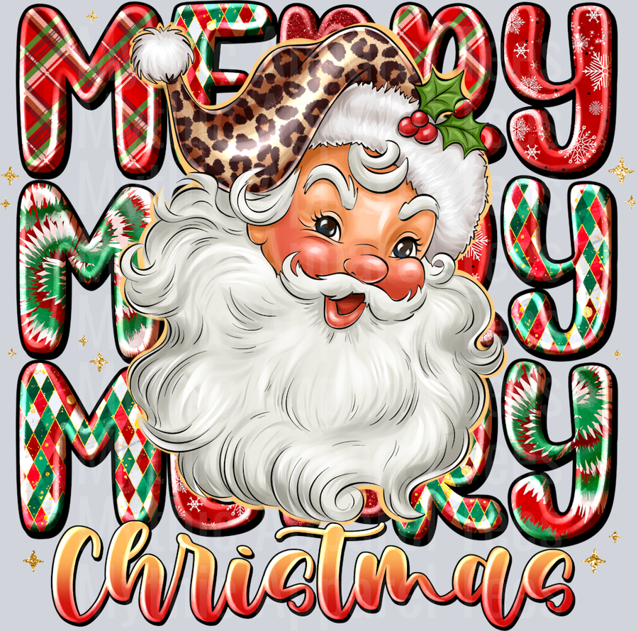 Merry Merry Christmas santa