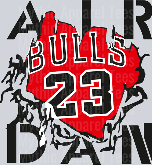 Chicago Bulls 23 Michael Jordan Chicago Bulls Jordans Nike DTF Michael Jordan Transfers