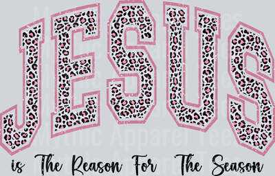 JESUS IS THE REASON FOR THE SEASON DISTRESSED