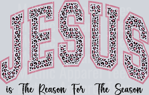 JESUS IS THE REASON FOR THE SEASON DISTRESSED