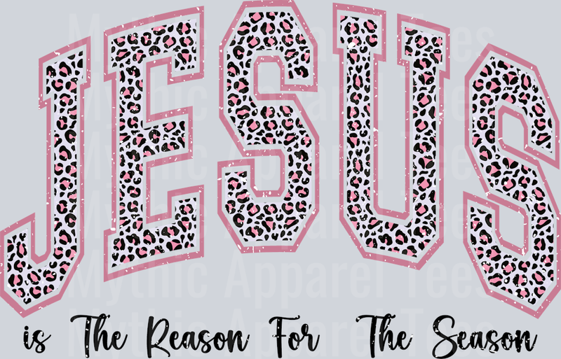 JESUS IS THE REASON FOR THE SEASON DISTRESSED