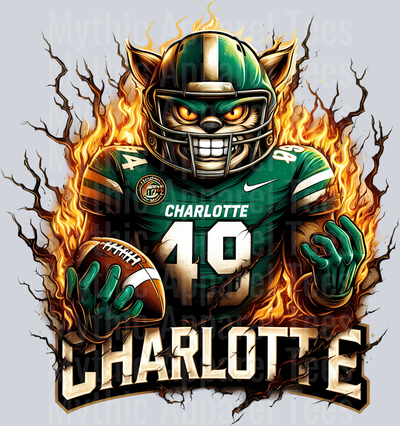 College Football Team Transfers