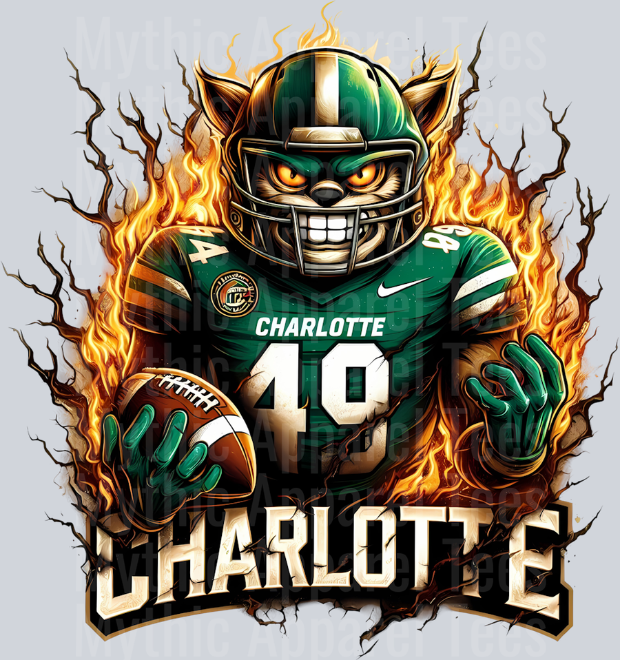 College Football Team Transfers