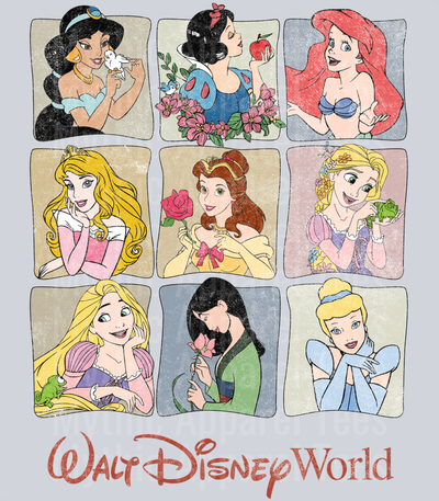 Walt Disney World Classic disney princesses frames DTF Disney Transfers