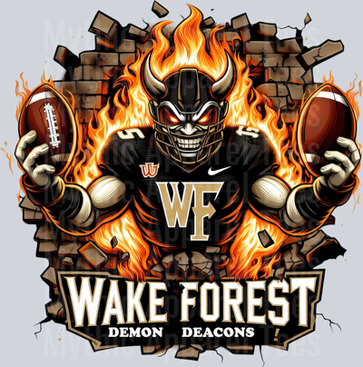 College Football Team Transfers