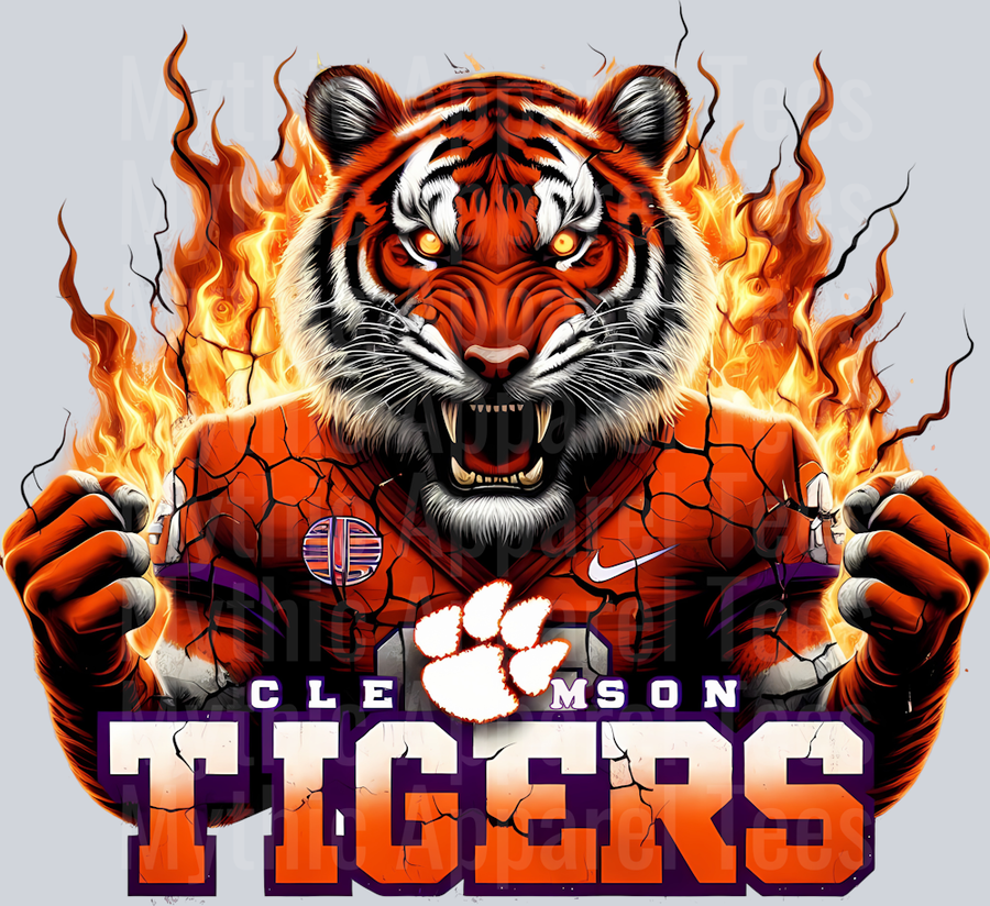 College Football Team Transfers
