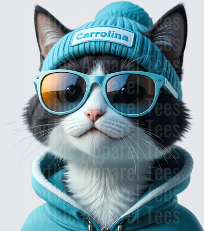 NFL Mascots Cool Cat Carolina Panthers Teal Beanie Sunglasses