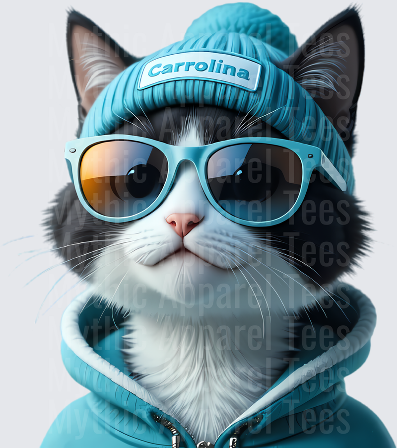 NFL Mascots Cool Cat Carolina Panthers Teal Beanie Sunglasses