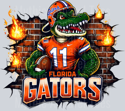 College Football Team Transfers
