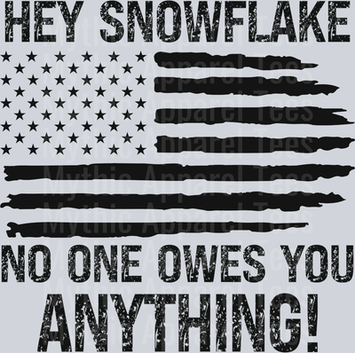 Hey Snowflake No One Owes You Anything DTF Political Transfers