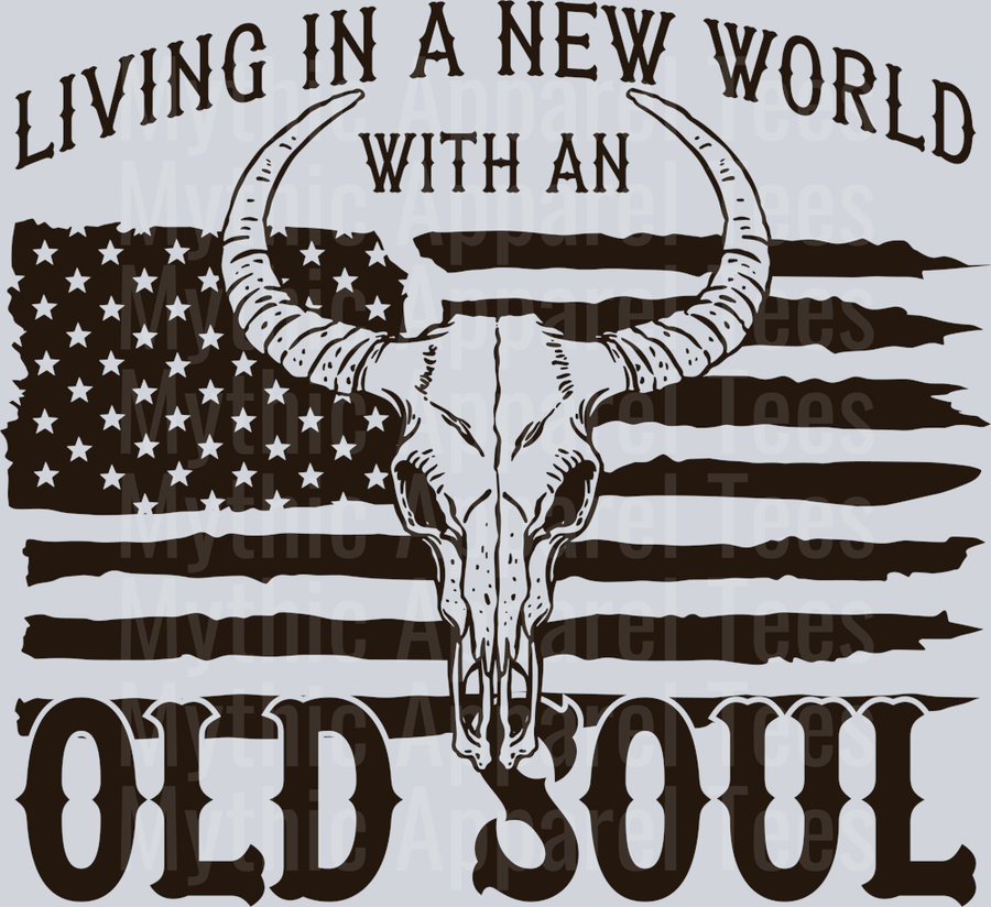 Living in a new world with an old soul cowboy with American flag