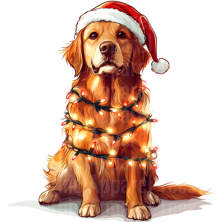 Golden Retriever Santa Hat Wrapped in Christmas Lights Holiday Dog