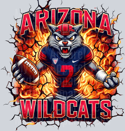 College Football Team Transfers