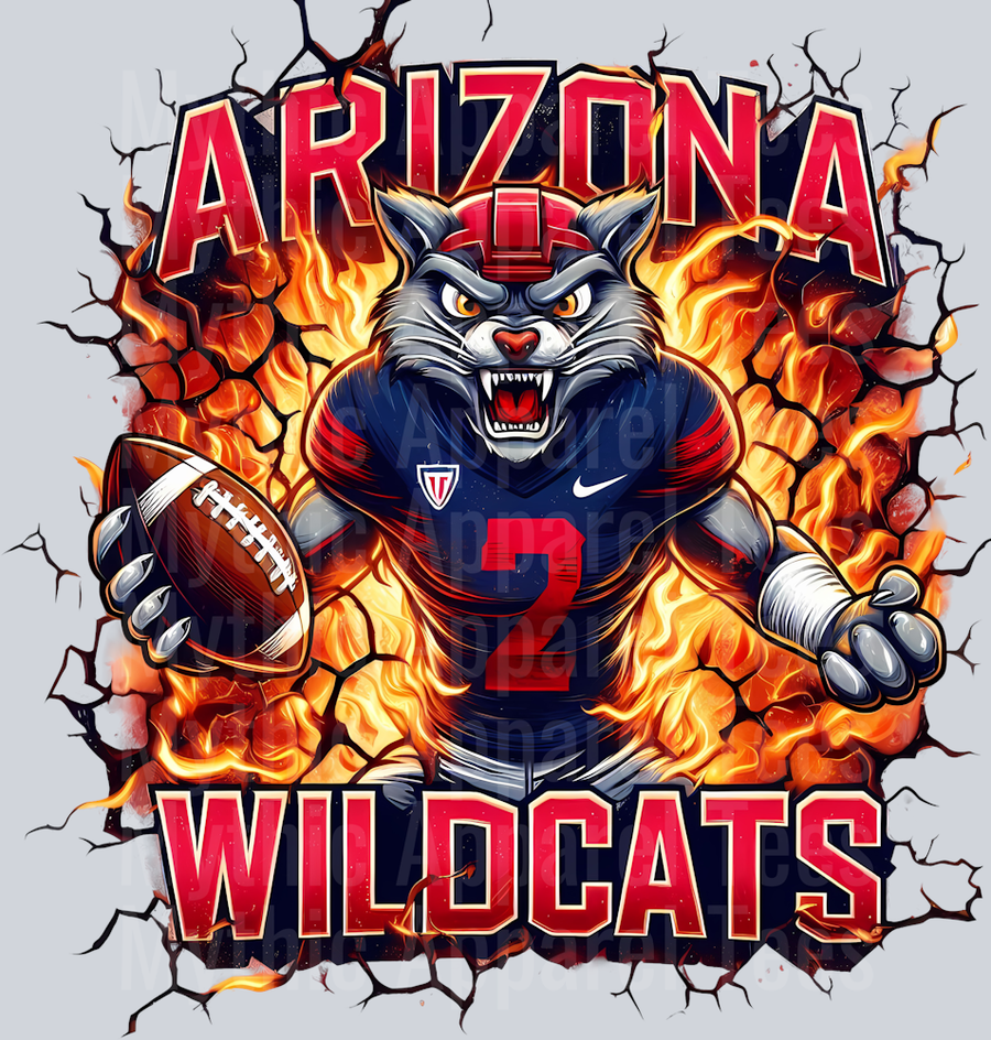 College Football Team Transfers